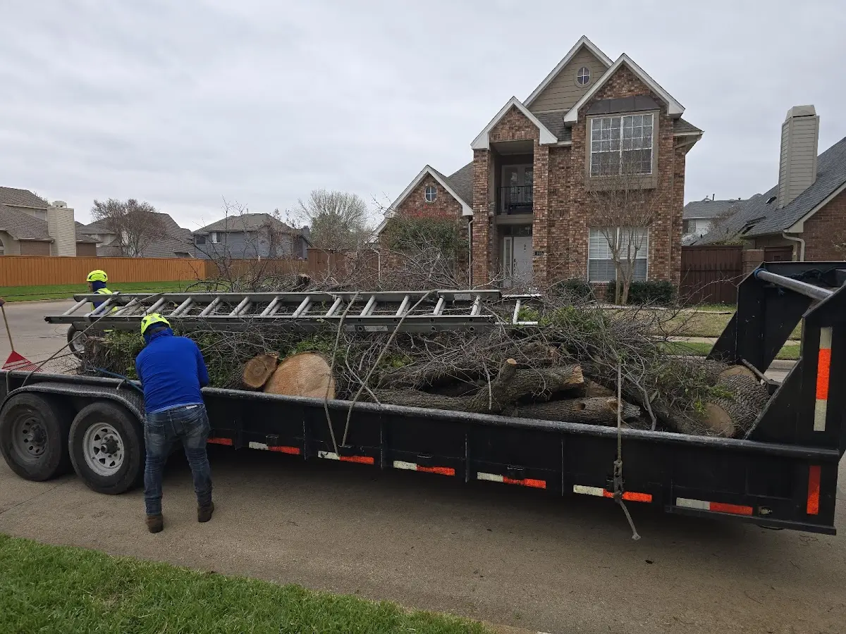 Expert Lot Clearing with proper safety equipment in Solomons